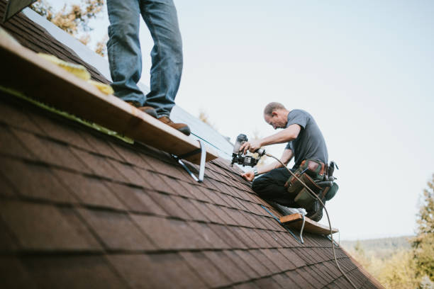 Roof Gutter Cleaning in Valley Falls, KS